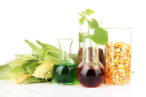 Biodiesel testing